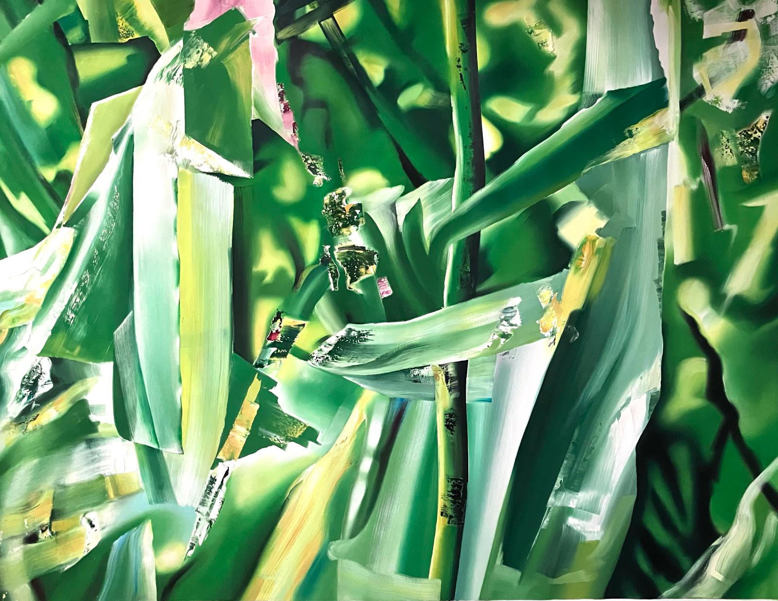 Leaves in Spring, 2005 by Greg Deda